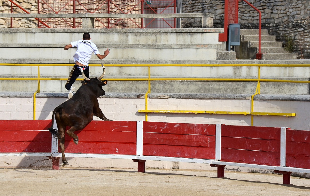 将继续书写