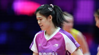 切蒂诺的执 切蒂诺的执